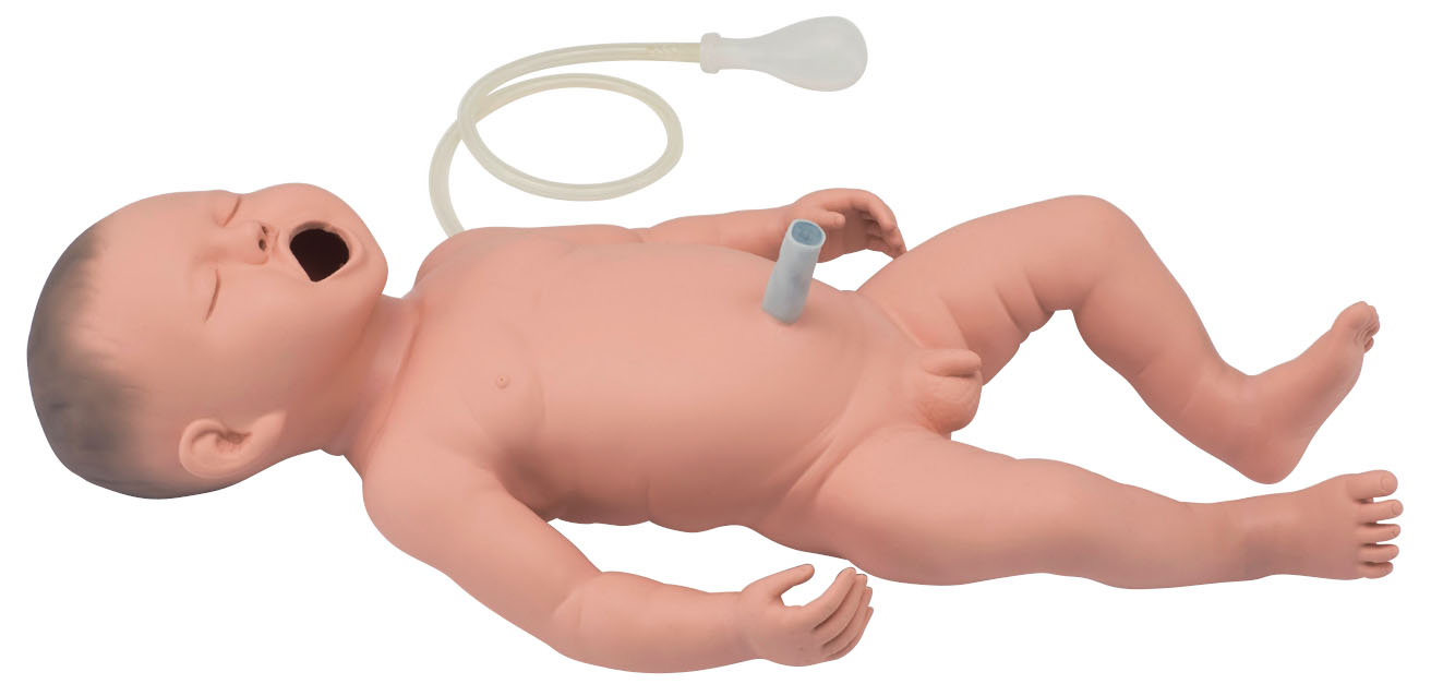 Resuscitation Model of New-Born Baby (Replaces AK049)