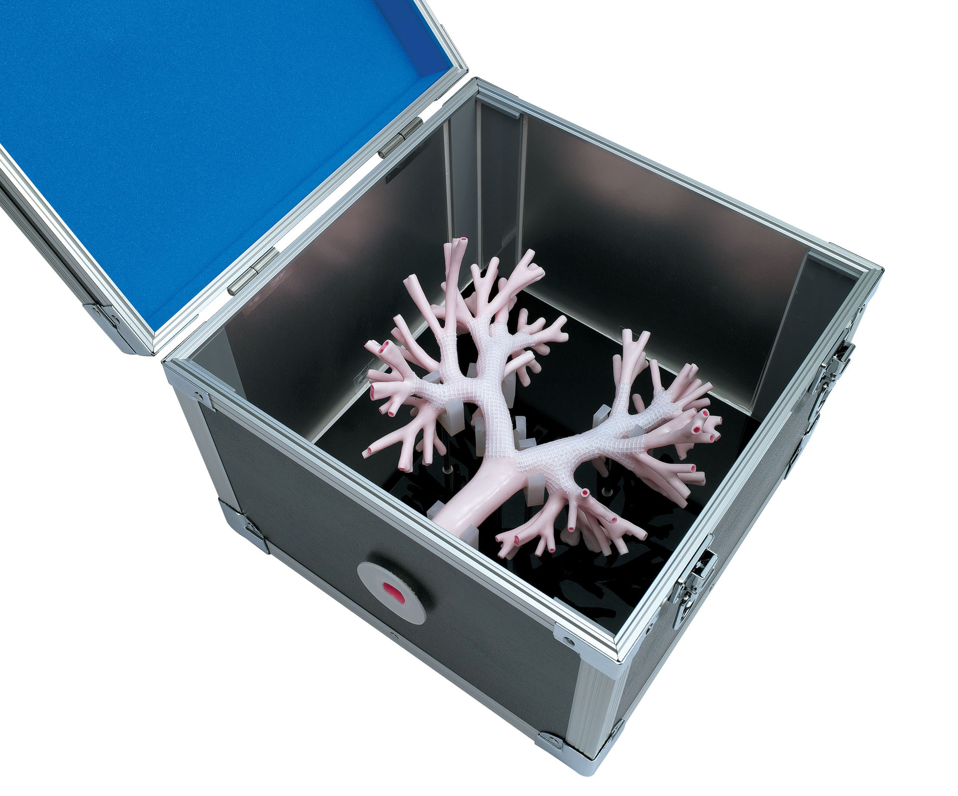 Bronchoscopy Training Model