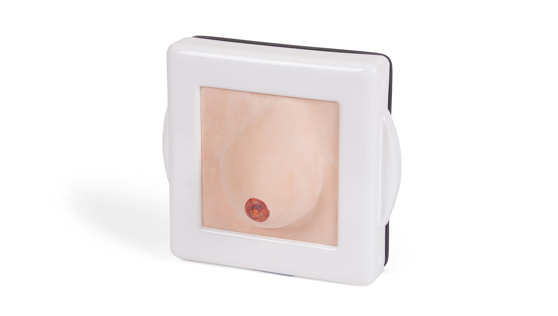 Examination and Diagnostic Breast Trainer, Light