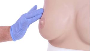 Standard Breast Examination Trainer, Light