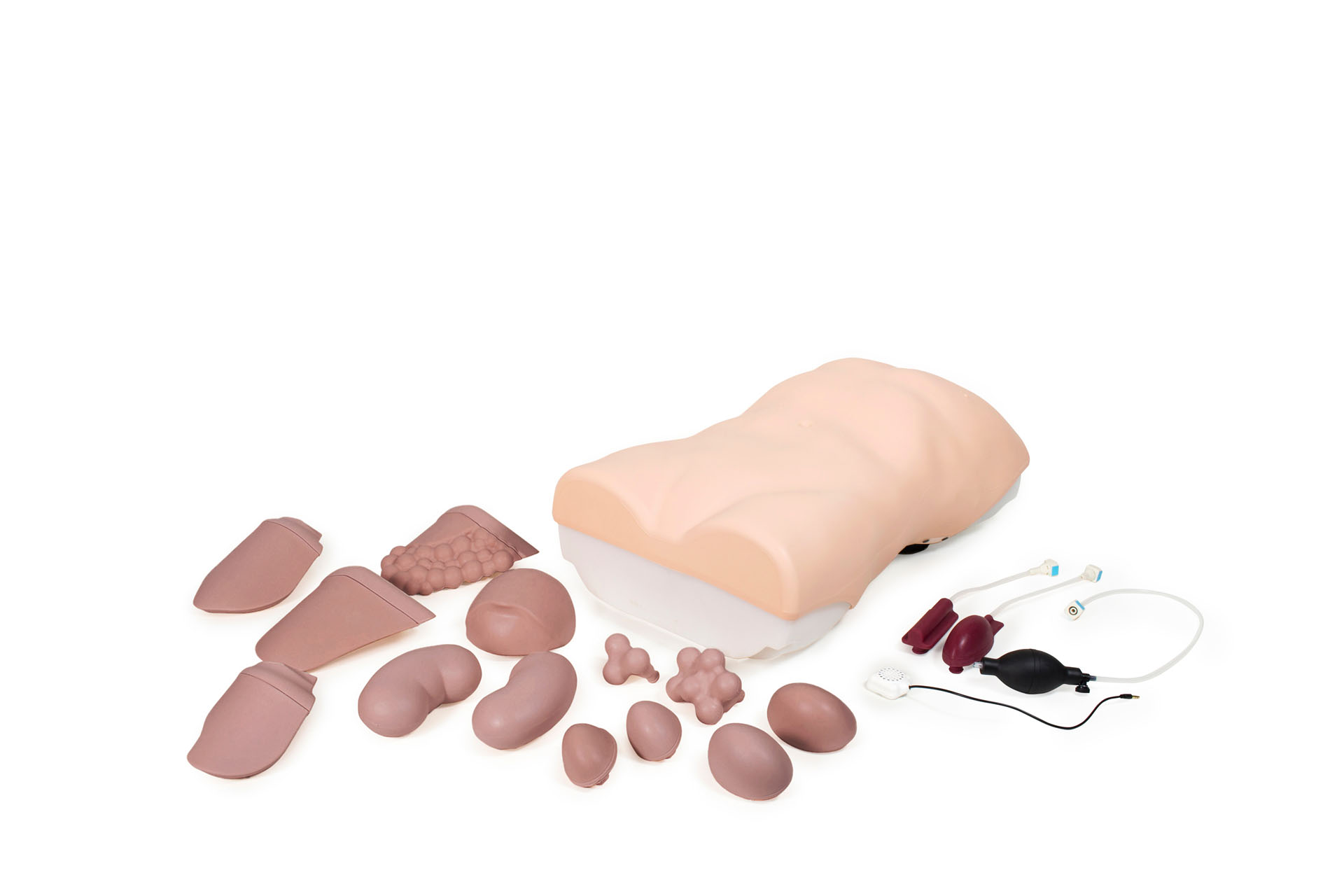Abdominal Examination Trainer, Light