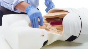 Abdominal Examination Trainer, Light