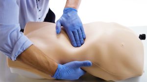 Abdominal Examination Trainer, Light
