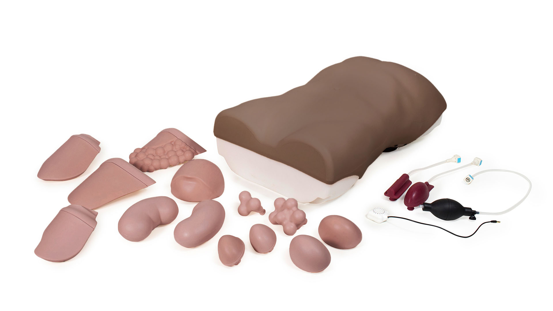 Abdominal Examination Trainer, Dark