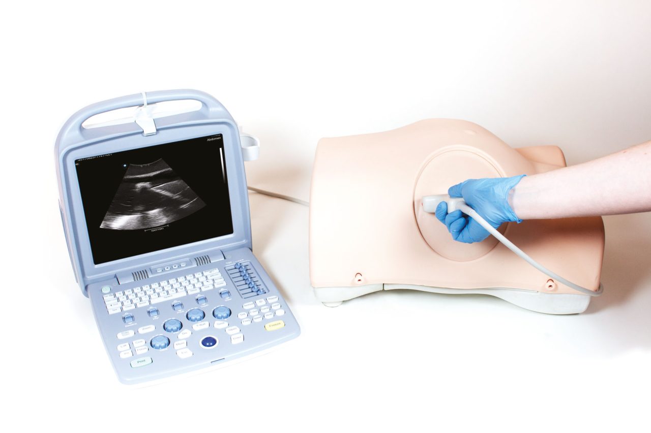 Paracentesis Trainer, Light