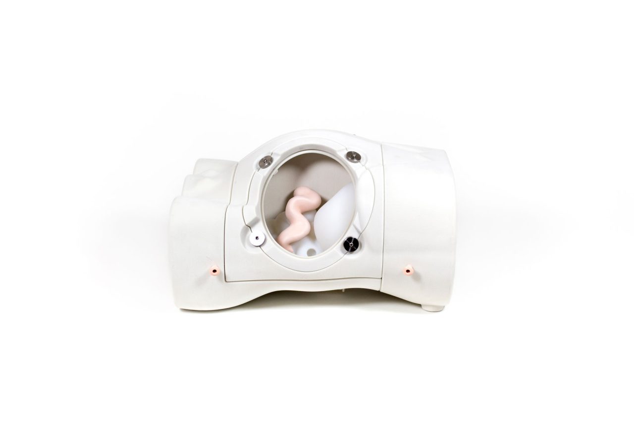 Paracentesis Trainer, Light