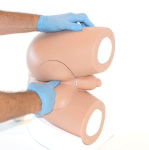 Standard Male Rectal Examination Trainer, Light