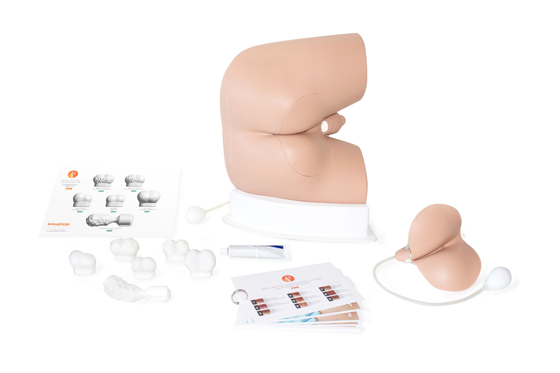 Advanced Male Rectal Examination Trainer, Light