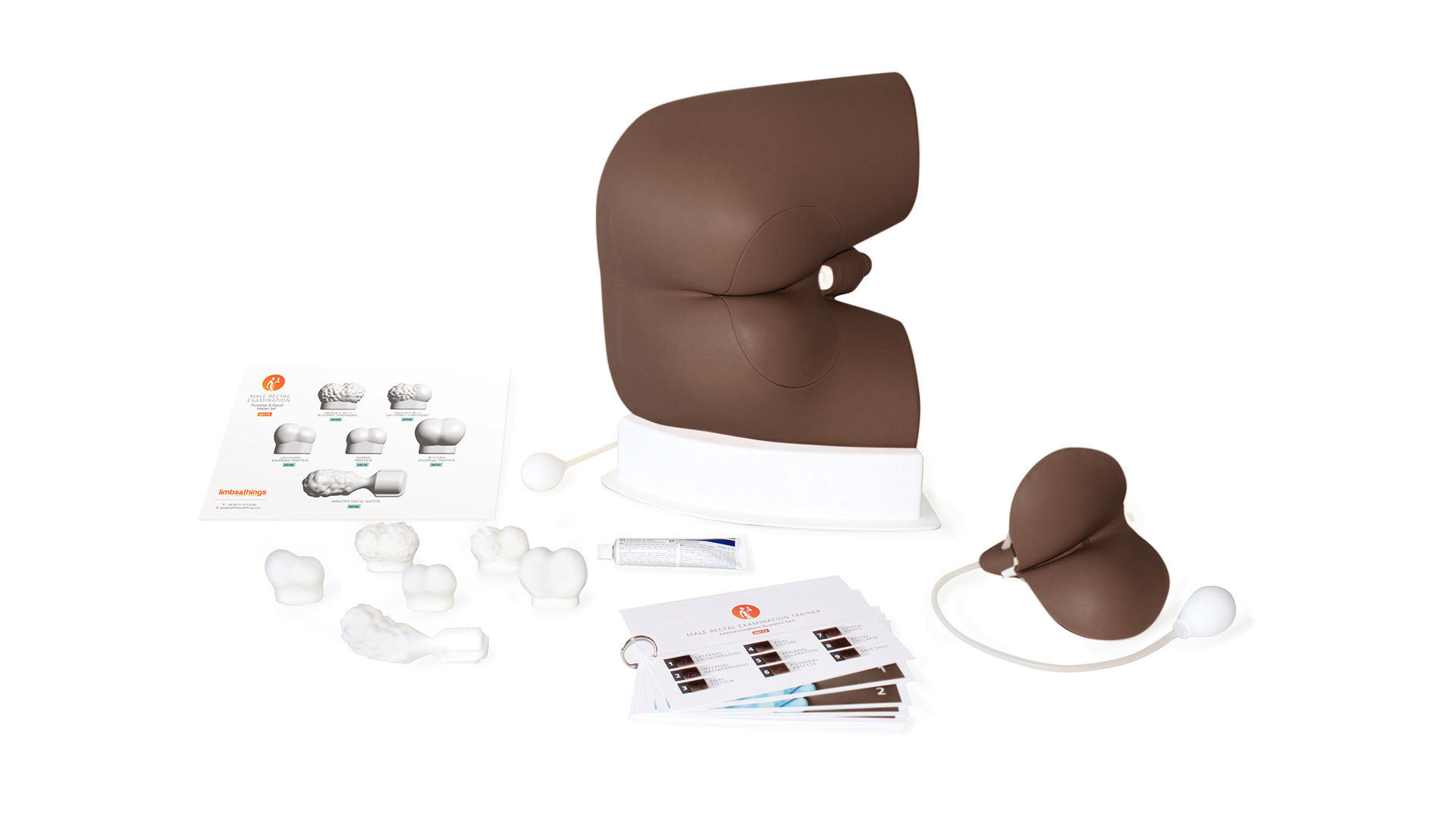 Advanced Male Rectal Examination Trainer, Dark