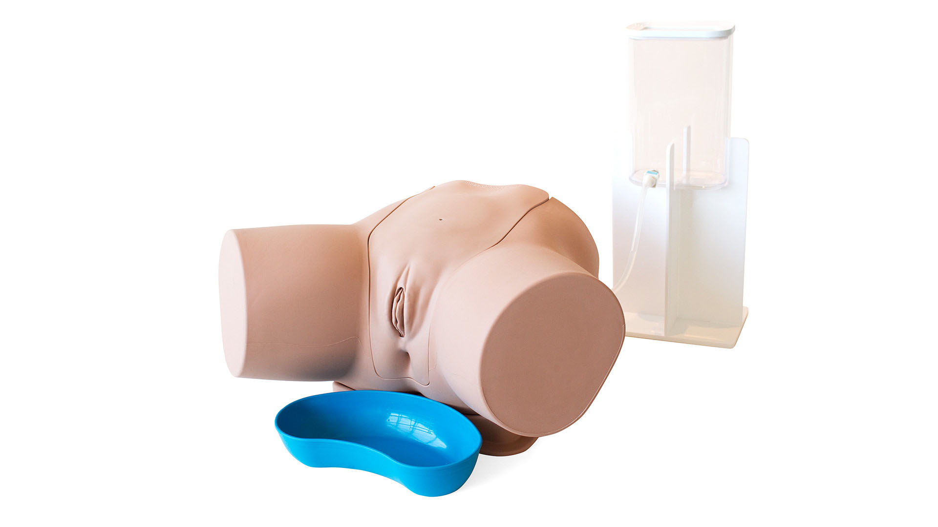 Female Catheterisation Trainer, Light