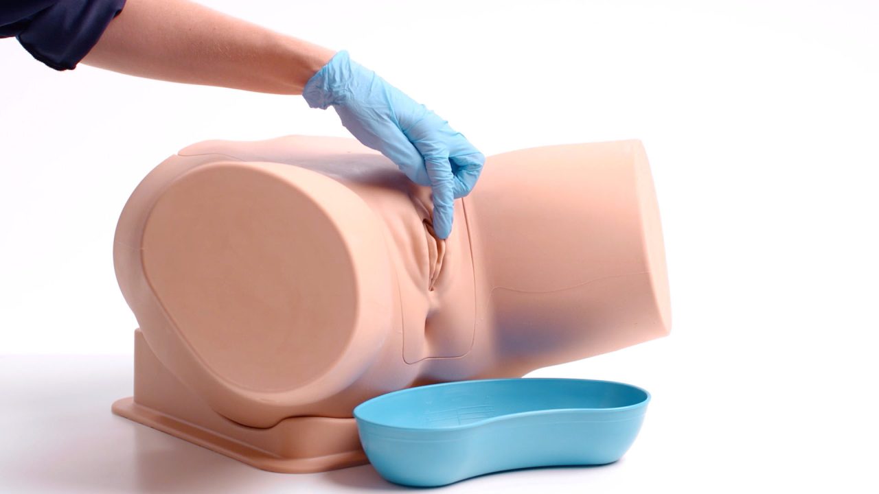 Female Catheterisation Trainer, Light