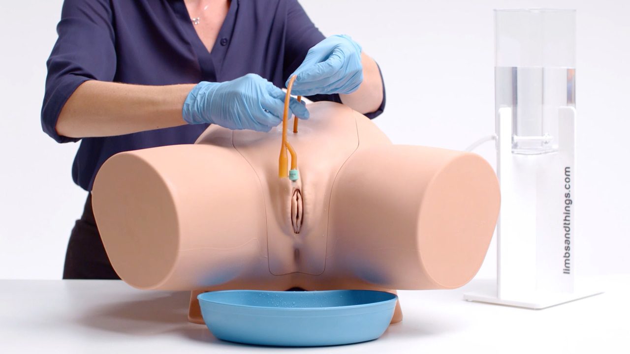 Female Catheterisation Trainer, Light