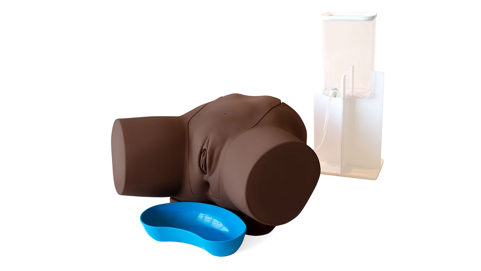 Female Catheterisation Trainer, Dark