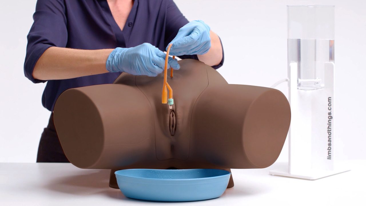 Female Catheterisation Trainer, Dark