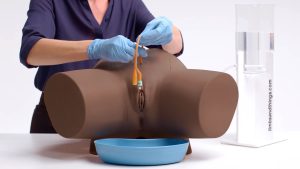 Advanced Catheterisation Trainer Set, Dark