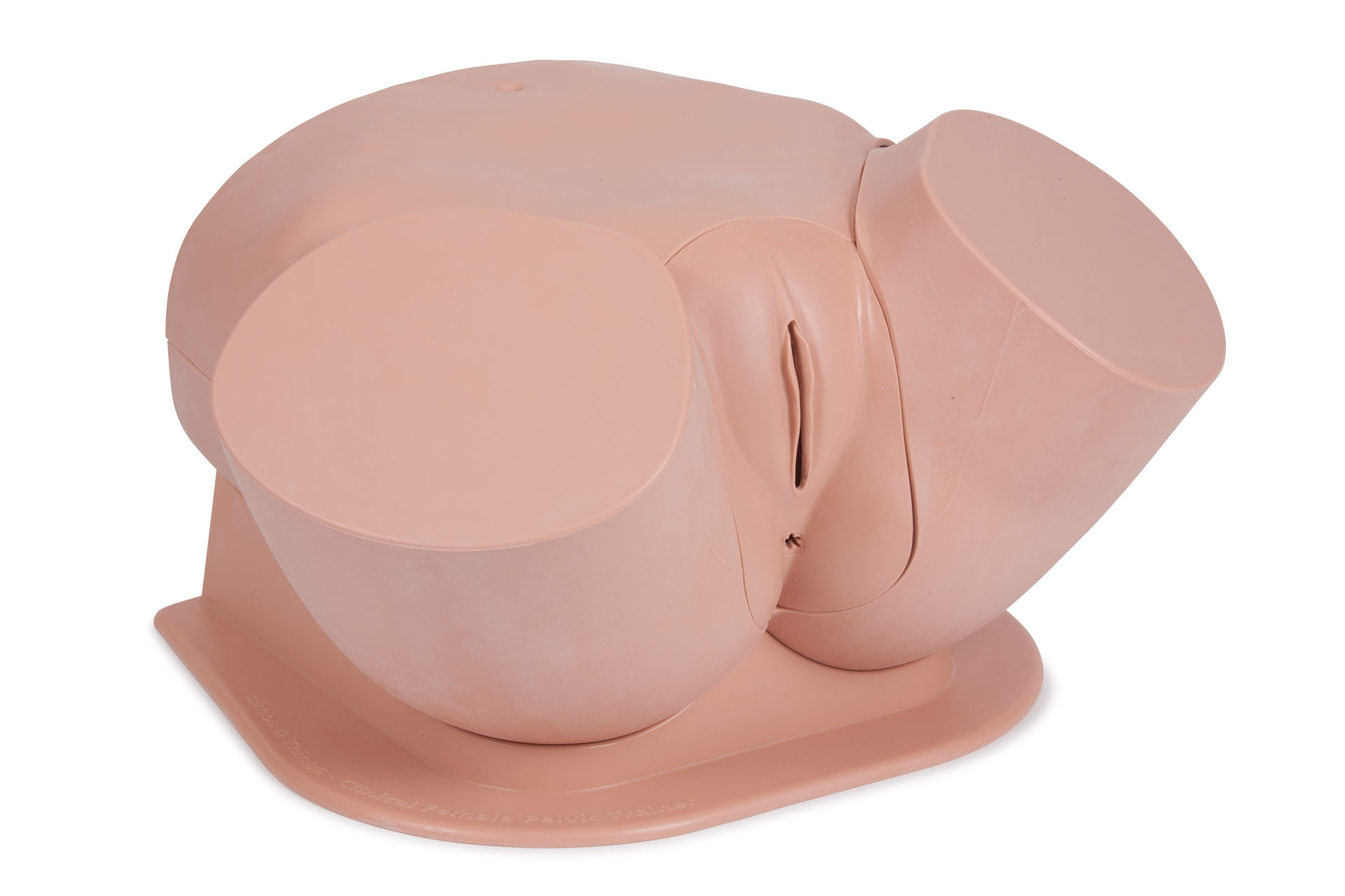 Standard Clinical Female Pelvic Trainer Mk3 (CFPT), Light