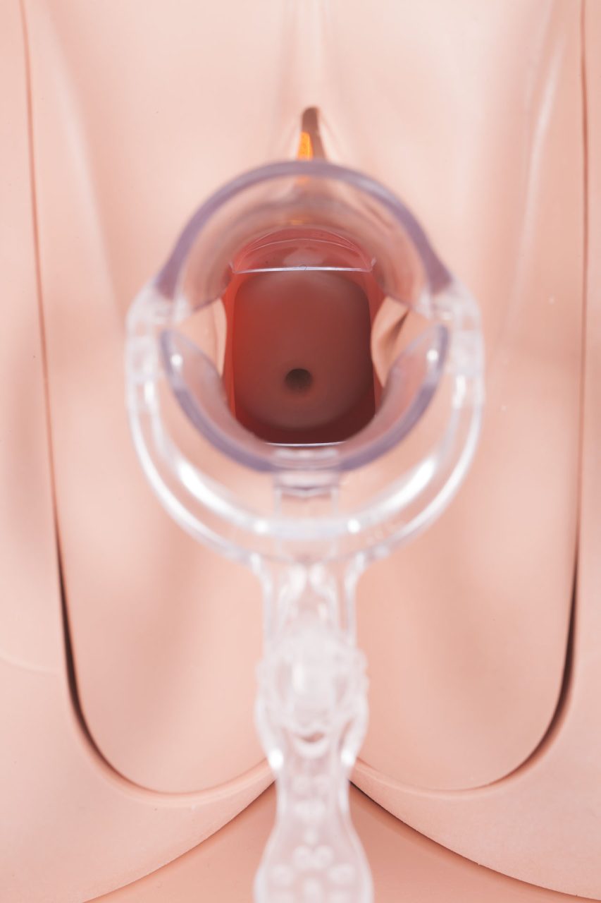 Standard Clinical Female Pelvic Trainer Mk3 (CFPT), Light