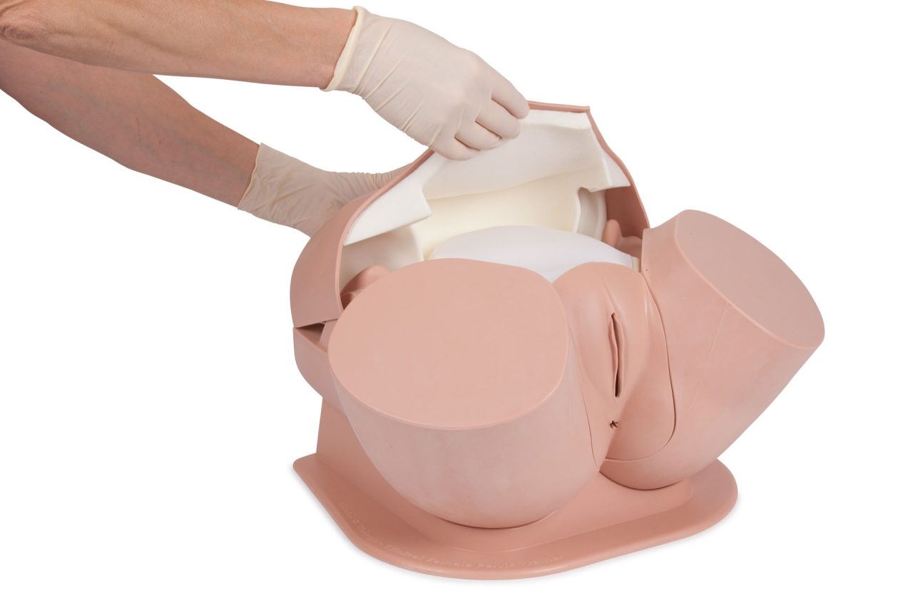 Advanced Clinical Female Pelvic Trainer (CFPT) Mk 3, Light