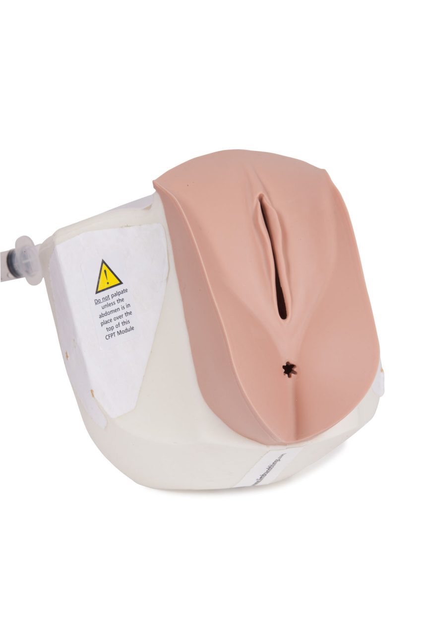 CFPT Mk 3 Module 1: Normal - Nulliparous Cervix, Light