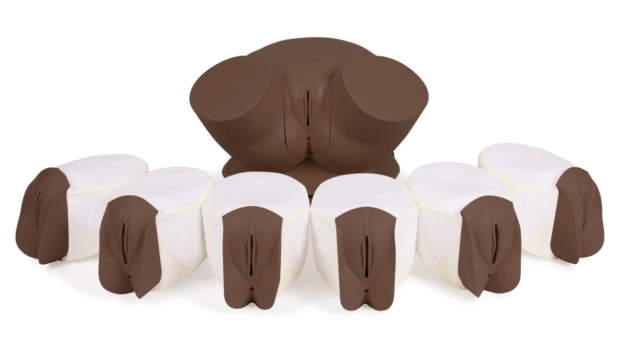 Advanced Clinical Female Pelvic Trainer (CFPT) Mk 3, Dark