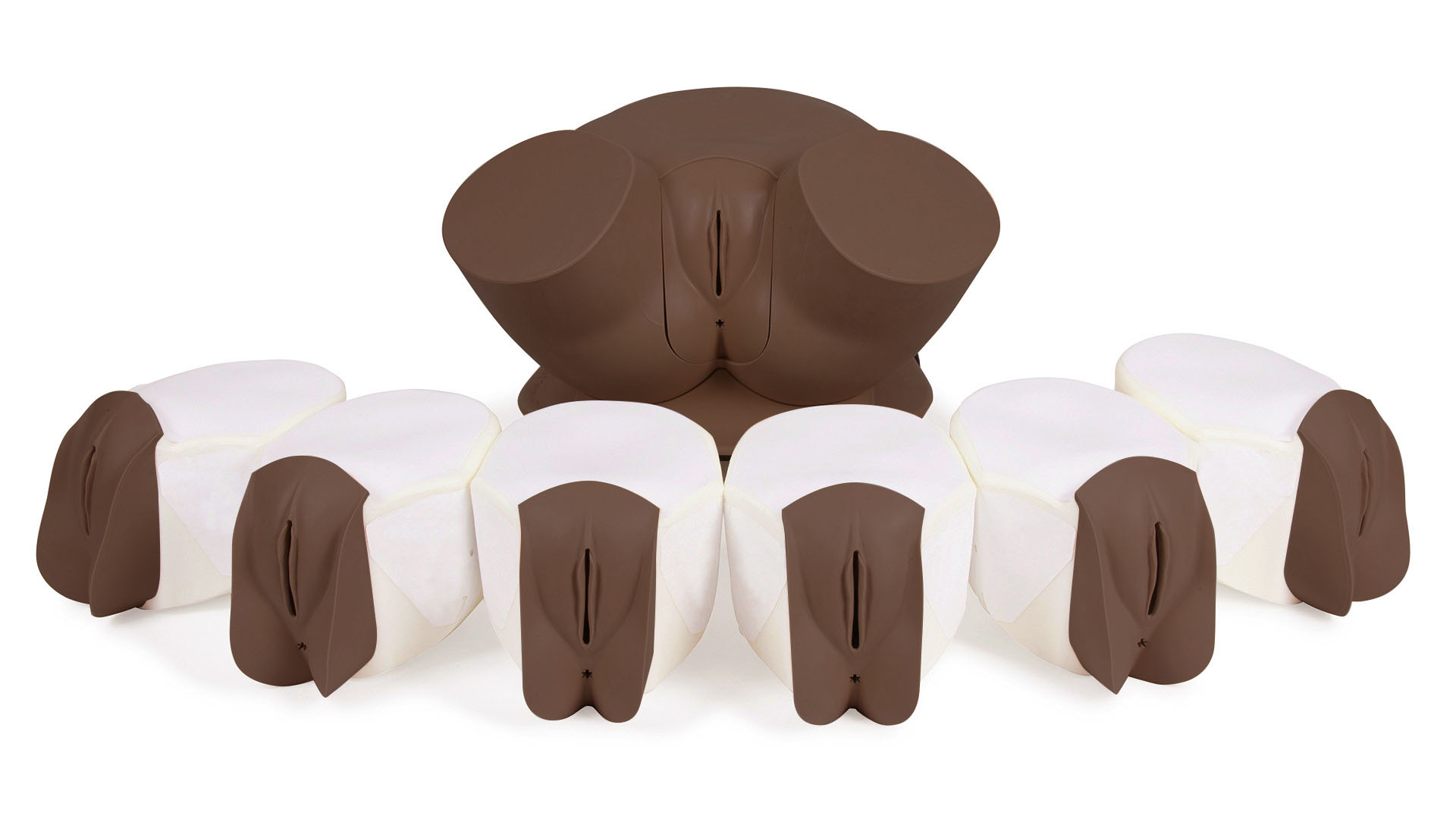 Advanced Clinical Female Pelvic Trainer (CFPT) Mk 3, Dark