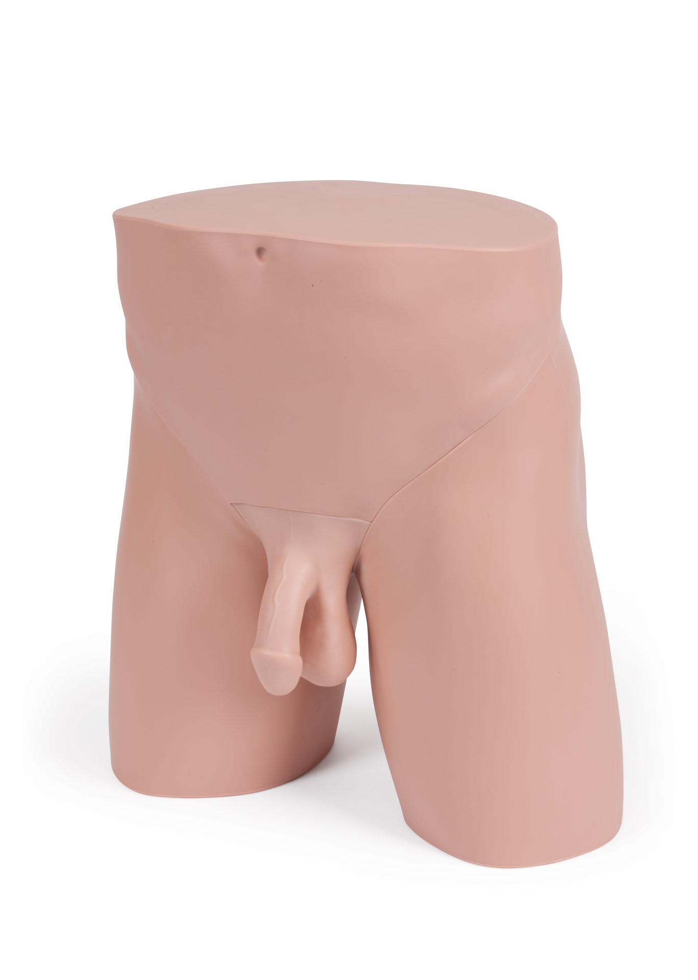Standard Clinical Male Pelvic Trainer (CMPT) Mk 2, Light