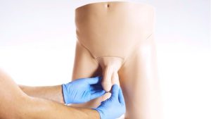 Standard Clinical Male Pelvic Trainer (CMPT) Mk 2, Light