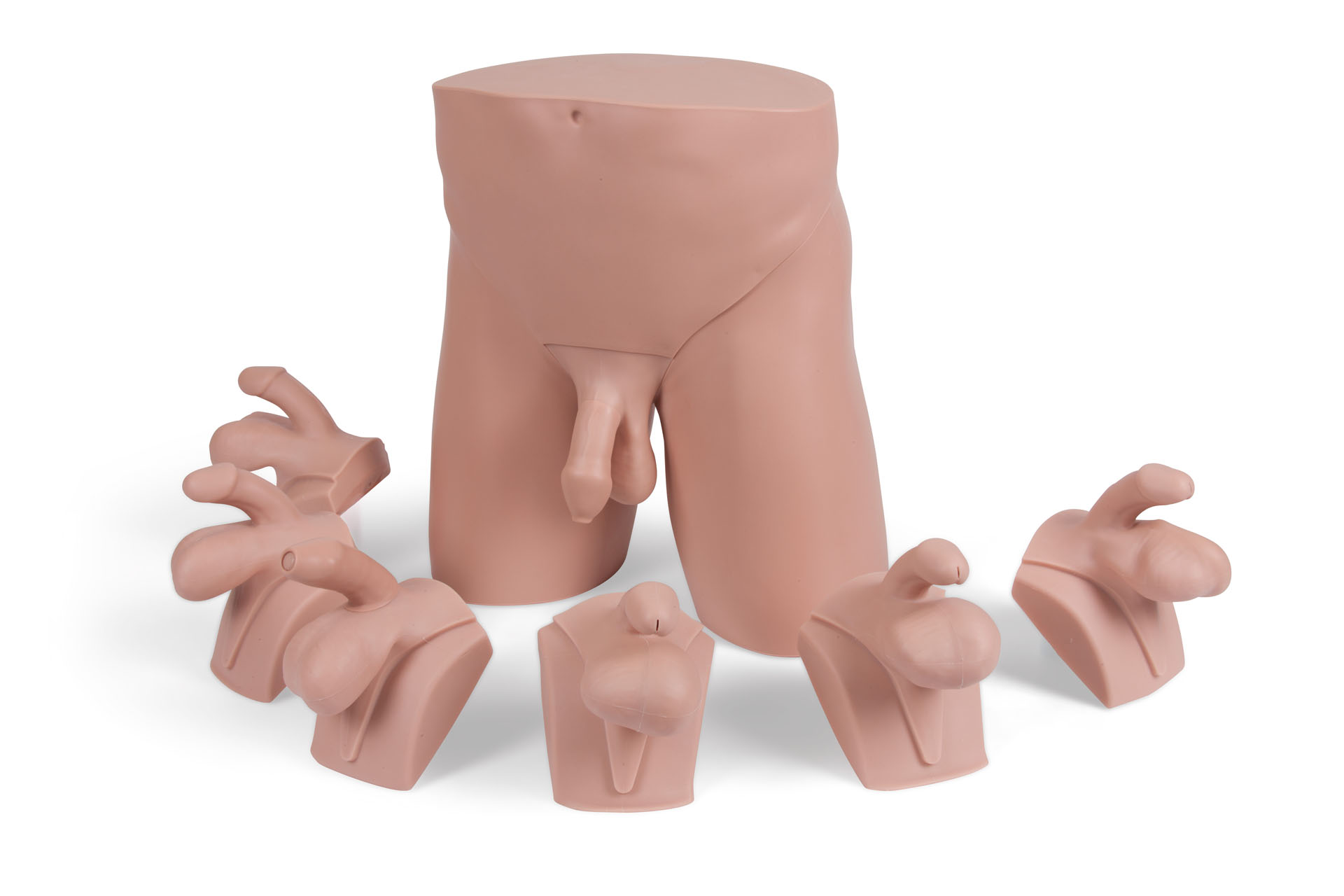 Advanced Clinical Male Pelvic Trainer (CMPT) Mk 2, Light