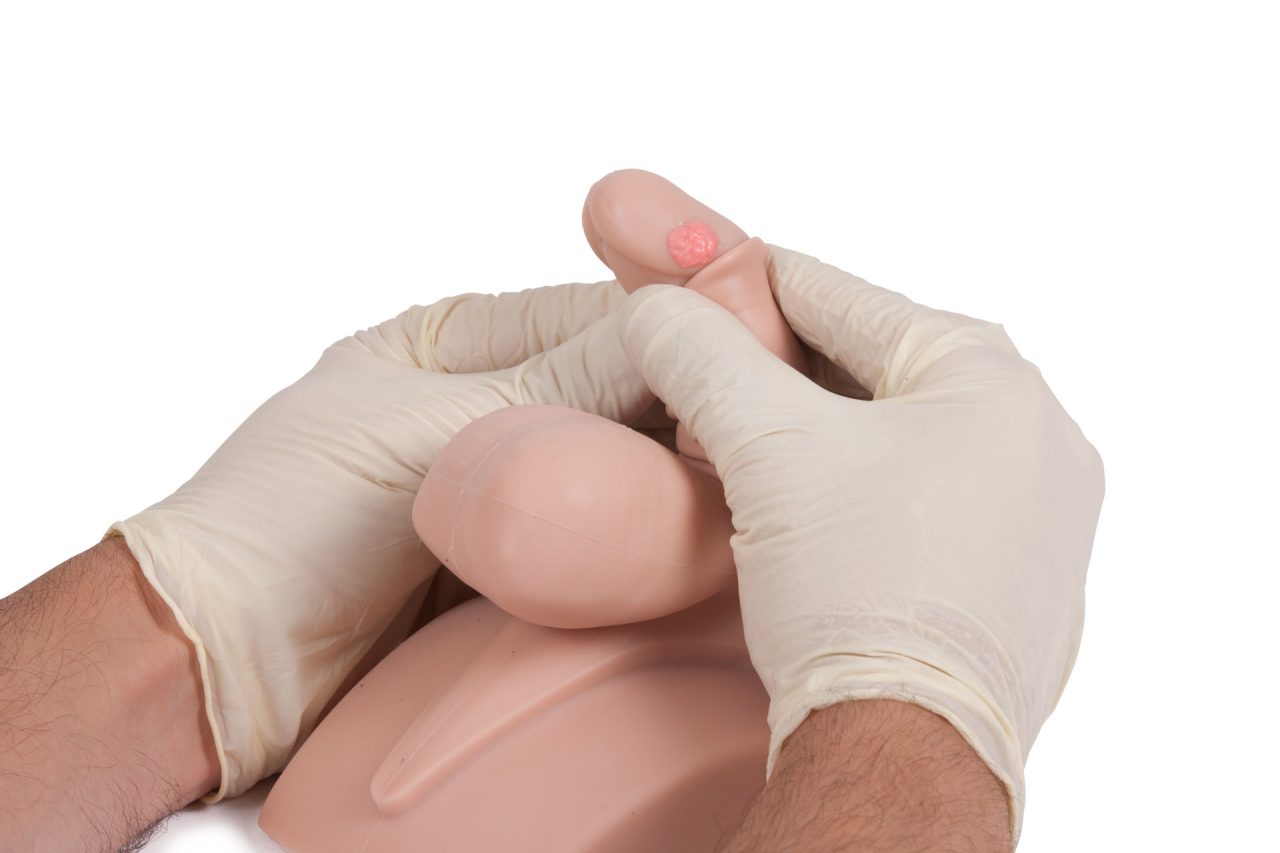Advanced Clinical Male Pelvic Trainer (CMPT) Mk 2, Light