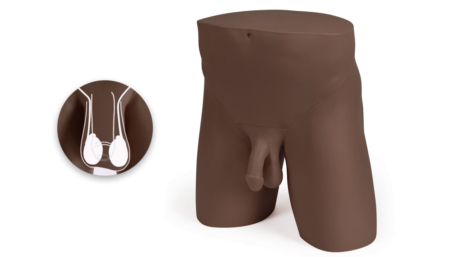 Standard Clinical Male Pelvic Trainer (CMPT) Mk 2, Dark