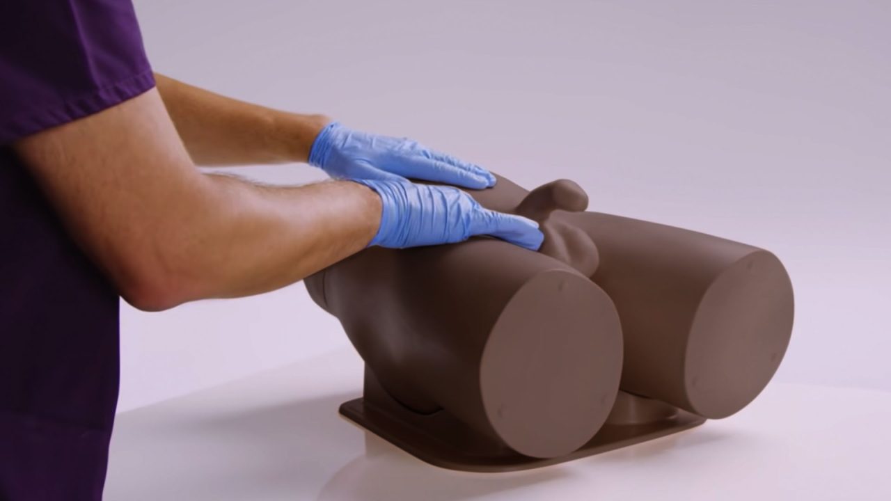 Standard Clinical Male Pelvic Trainer (CMPT) Mk 2, Dark