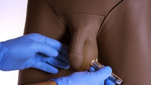 Standard Clinical Male Pelvic Trainer (CMPT) Mk 2, Dark