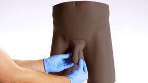 Advanced Clinical Male Pelvic Trainer (CMPT) Mk 2, Dark