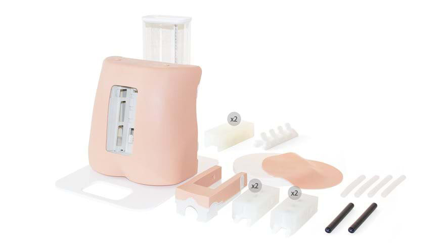 Advanced Epidural & Lumbar Puncture Model, Light