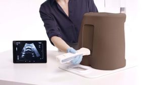 Ultrasound Epidural & Lumbar Puncture Model, Dark