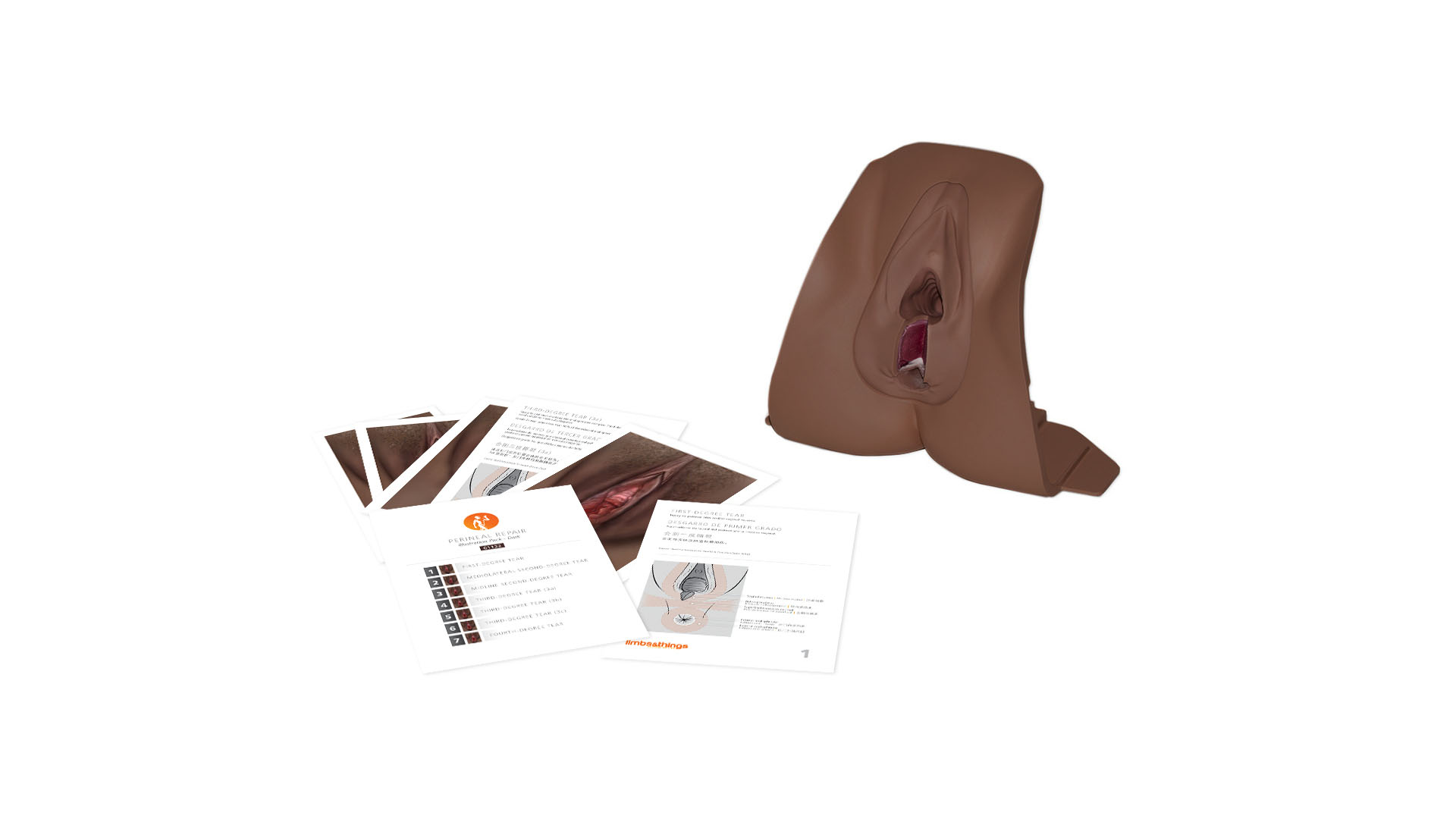 Anal Sphincter Repair Trainer, Dark