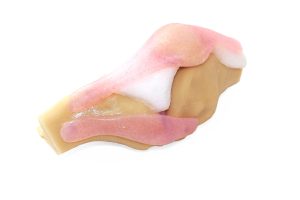 Knee Aspiration & Injection Trainer With Ultrasound Capabilities, Light
