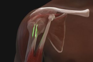 Shoulder Injection Trainer Palpation Guided with Android Tablet, Light