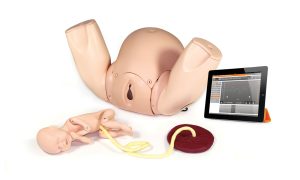 Prompt Flex Birthing Simulator - Advanced, Light