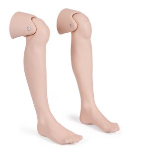 Lower Legs With Knee Joint Interface, Light