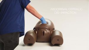 Prompt Flex Enhanced Caesarean Section Module, Light (ECSM)