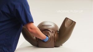Prompt Flex Enhanced Caesarean Section Module, Dark (ECSM)
