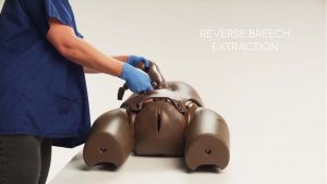 Prompt Flex Enhanced Caesarean Section Module, Dark (ECSM)