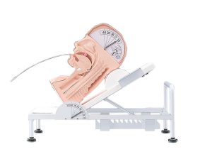 Swallowing Simulator, Light