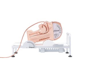 Swallowing Simulator, Light