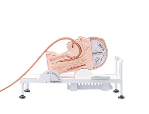 Swallowing Simulator, Light