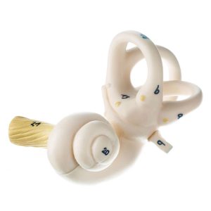 Ear - Separates Into 6 Parts, Light