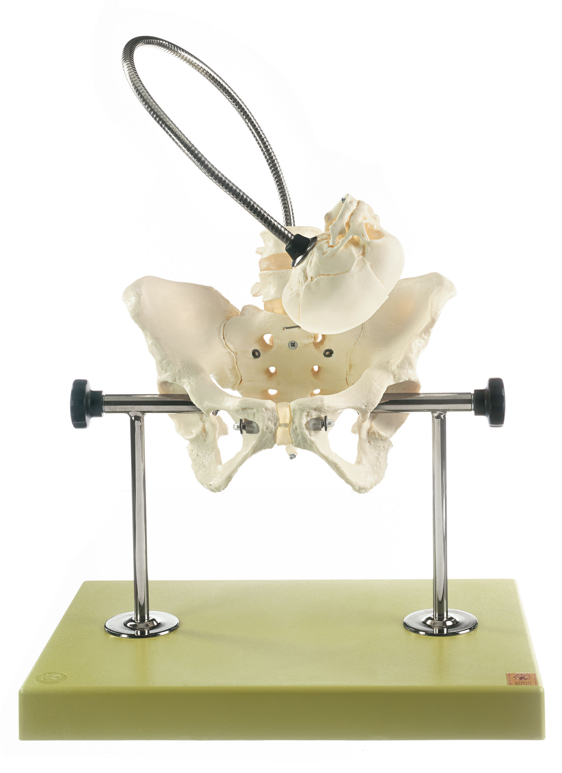 Obstetric Phantom