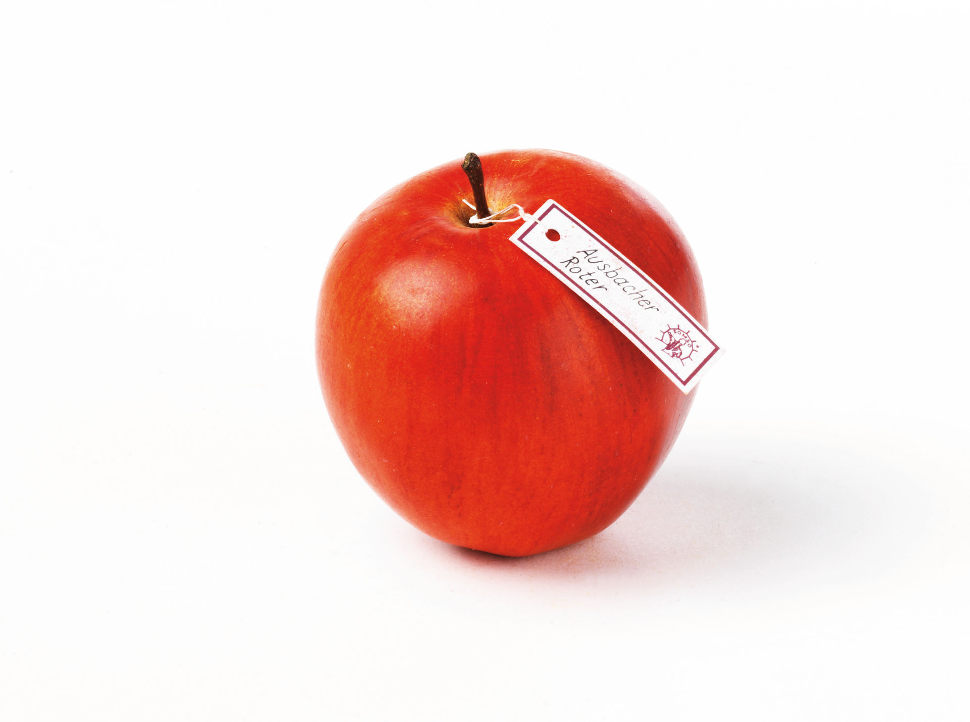 Ausbacher Roter