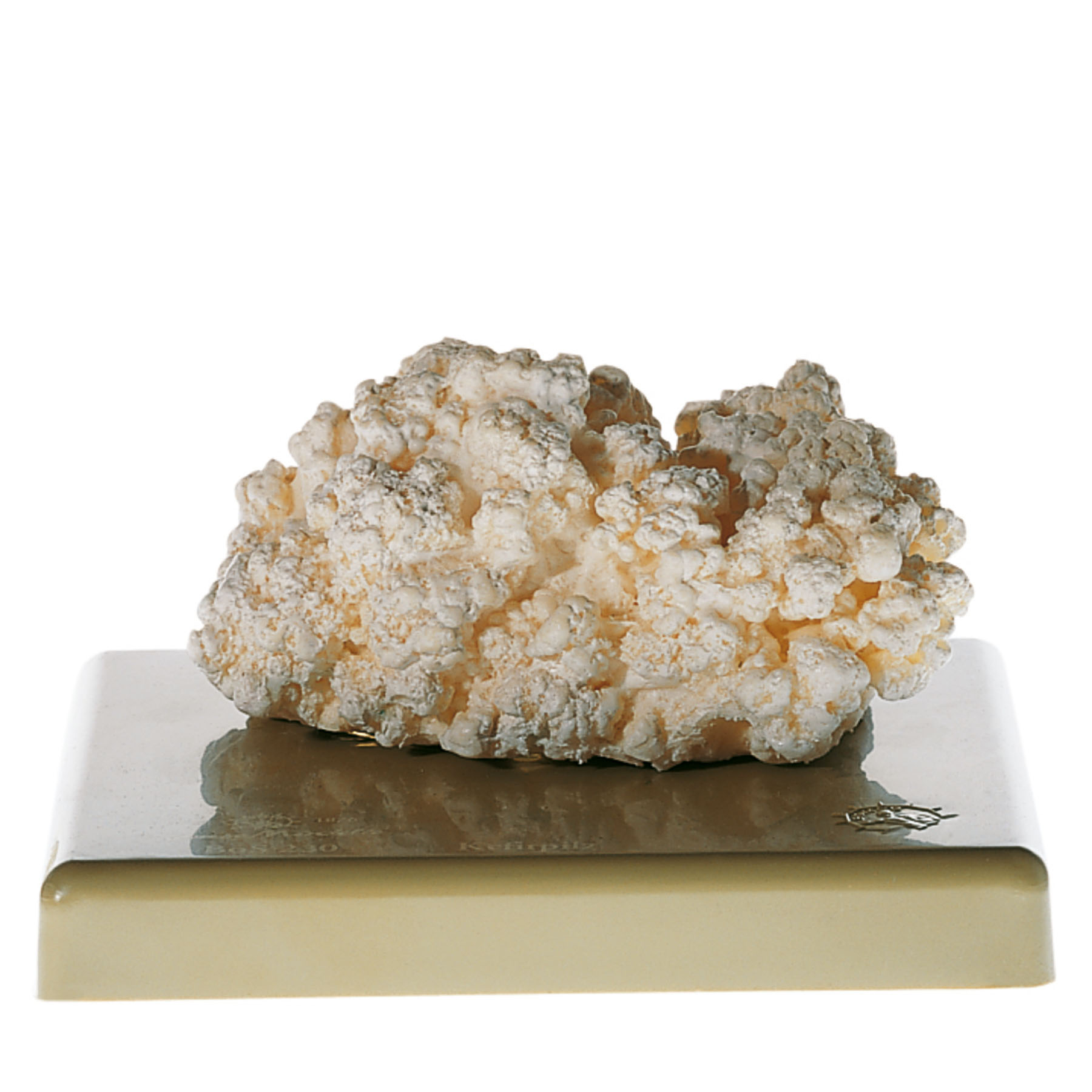 Kefir Grains